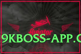 pk2win Boss v4.2.1 Screenshot 2